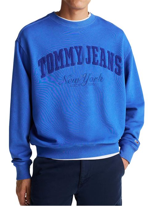 Felpa uomo azzurra in cotone Tommy Jeans | Maglie | DM0DM20262C6E