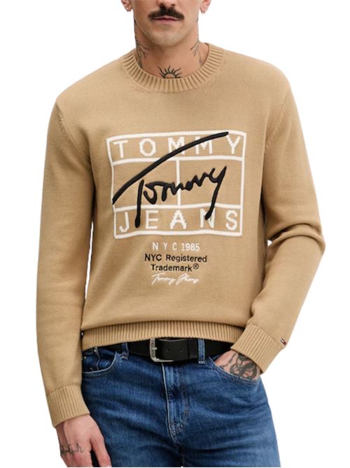 Maglioncino con grafica Tommy Jeans | Maglie | DM0DM22401AEN
