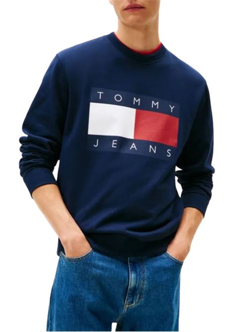 Maglioncino girocollo con grafica Tommy Jeans | Maglie | DM0DM22643C1G