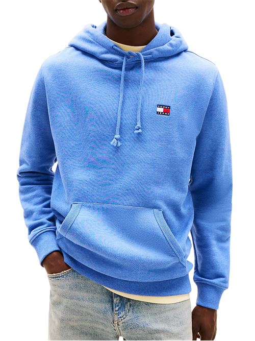 Felpa azzurra in cotone Tommy Jeans | Felpe | DM0DM20258DSF