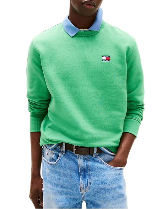 Felpa verde in spugna di cotone Tommy Jeans | Felpe | DM0DM20660LY3