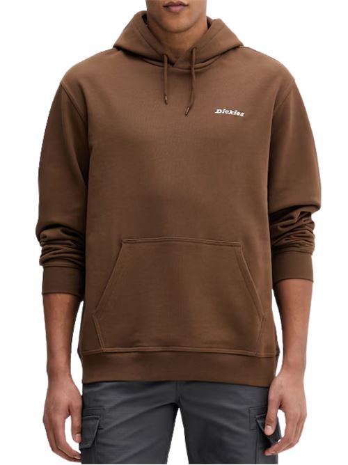 Felpa con cappuccio Dickies | DK0A889X0TB1