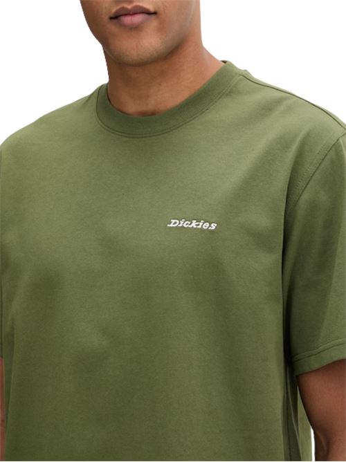 T-shirt in cotone Dickies | DK0A89ENK721