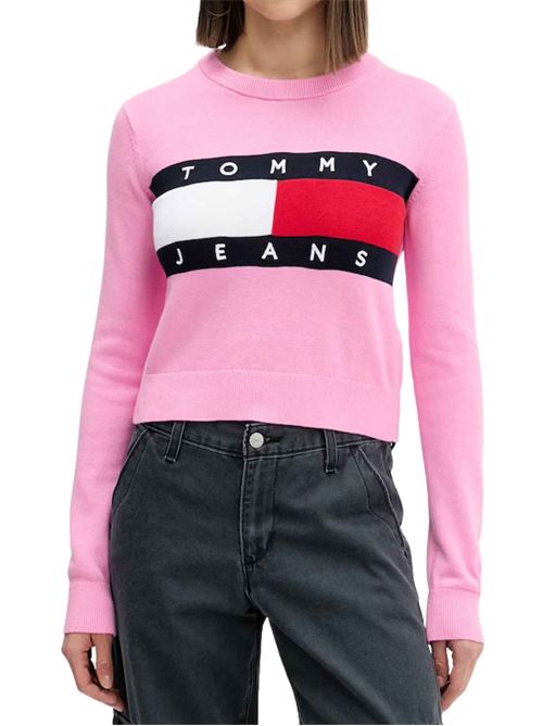 Maglione in cotone con logo Tommy Jeans | Maglie | DW0DW22930TOU