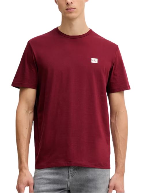 T-shirt in jersey di cotone Calvin Klein Jeans | T-shirt | LV04RC272GWCV