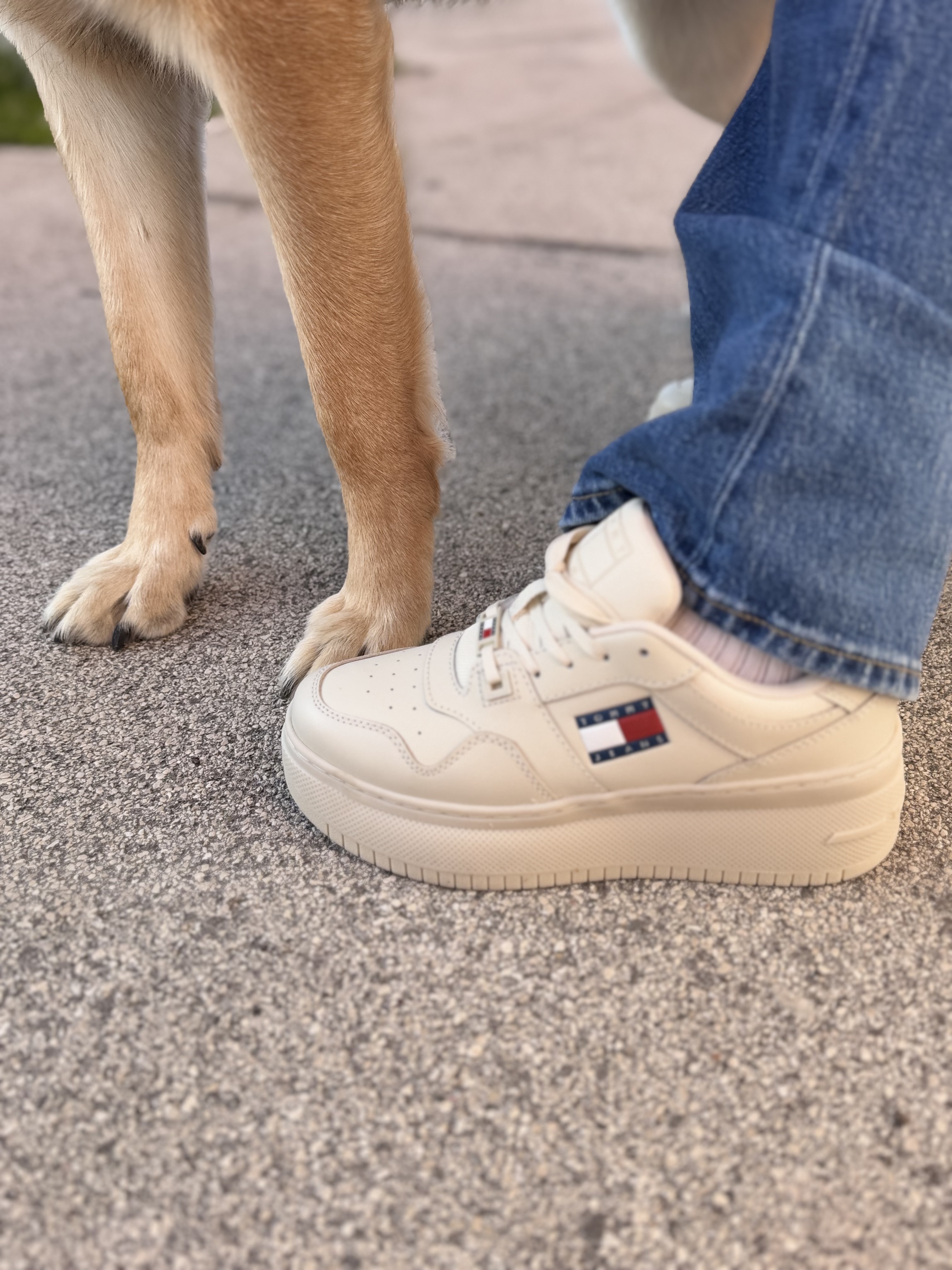 Sneaker donna in pelle Tommy Jeans Tommy Jeans | EN0EN02506ACG